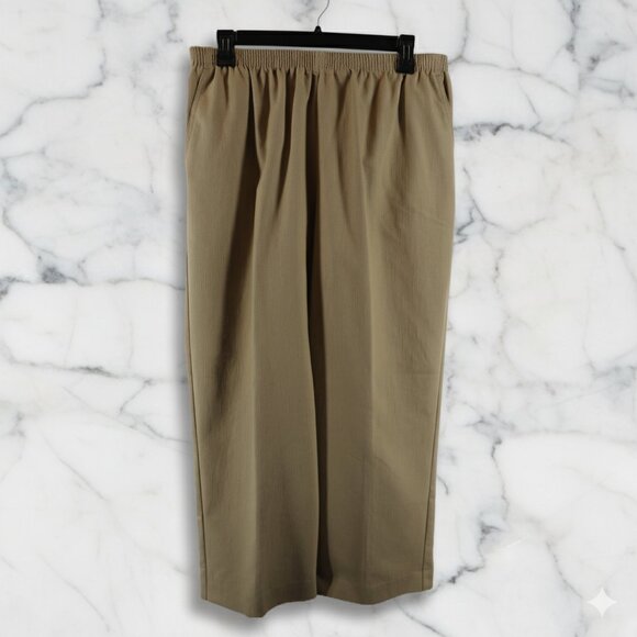 Alfred Dunner Taste Of Morocco Womens Beige Pull On Pants W/ Pockets Tag Size 14 - Picture 4 of 9